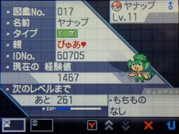 ポケモンBW013ヤナップ★