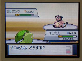 ポケモン金銀032ミルタンク★