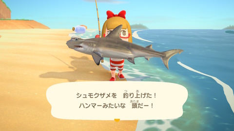あつ森189サメ