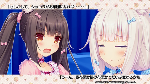 ネコぱら003