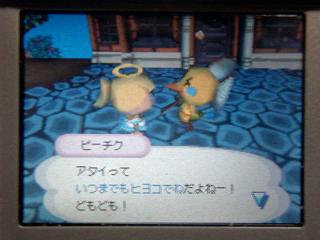 ���������������ԡ�����