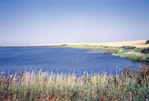 SL003_0010