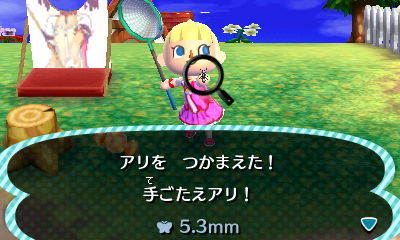 HNI_0019アリ★