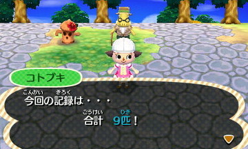 HNI_0073今回の記録9匹★