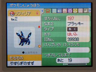 ポケモンプラチナ145色違いブラッキー★