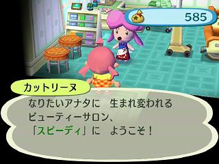 �ɤ��֤Ĥο������������åȥ꡼�̡�