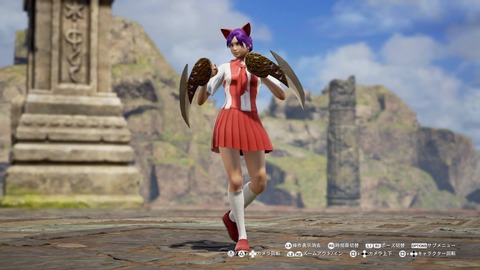 キャリバー6005ねこ娘