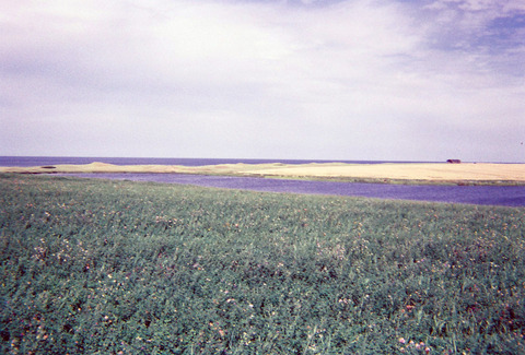SL003_0005