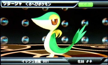 �ݥ����޴գ������ĥ��������