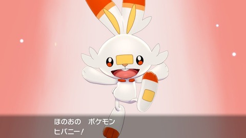 剣盾002