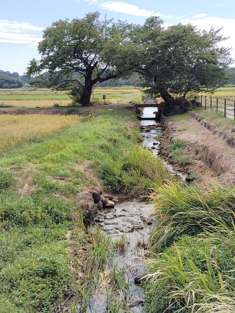 IMG_20241002_115729☆