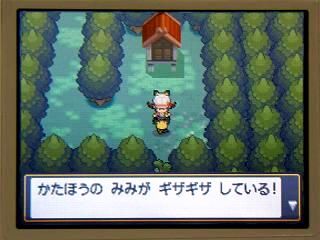 �ݥ�����䣰���������ߤߣ���