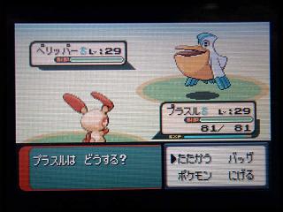 ポケモンER043ペリッパー★