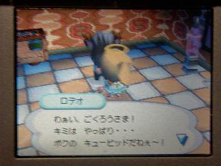 �����������������塼�ԥå�