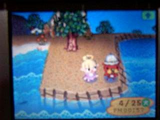 ���������������饳����