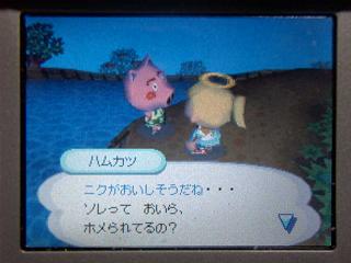 ���������������ϥ५��