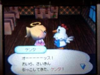 ������������������