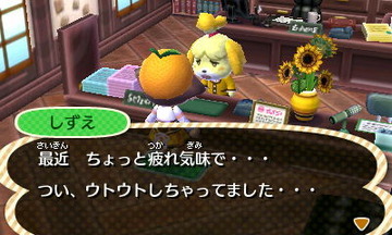 HNI_0081しずえ★