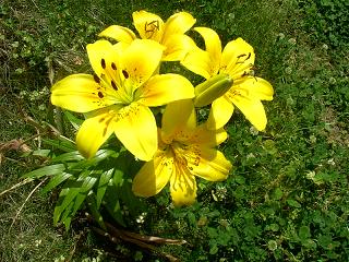 ����������������