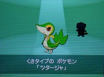 ポケモンBW2−005ツタージャ★