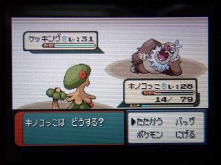 ポケモンER038ケッキング★