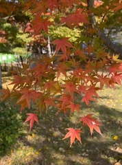 Screenshot_20221116-124717_LINE