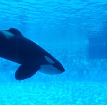 Screenshot_20221019-124840_Gallery