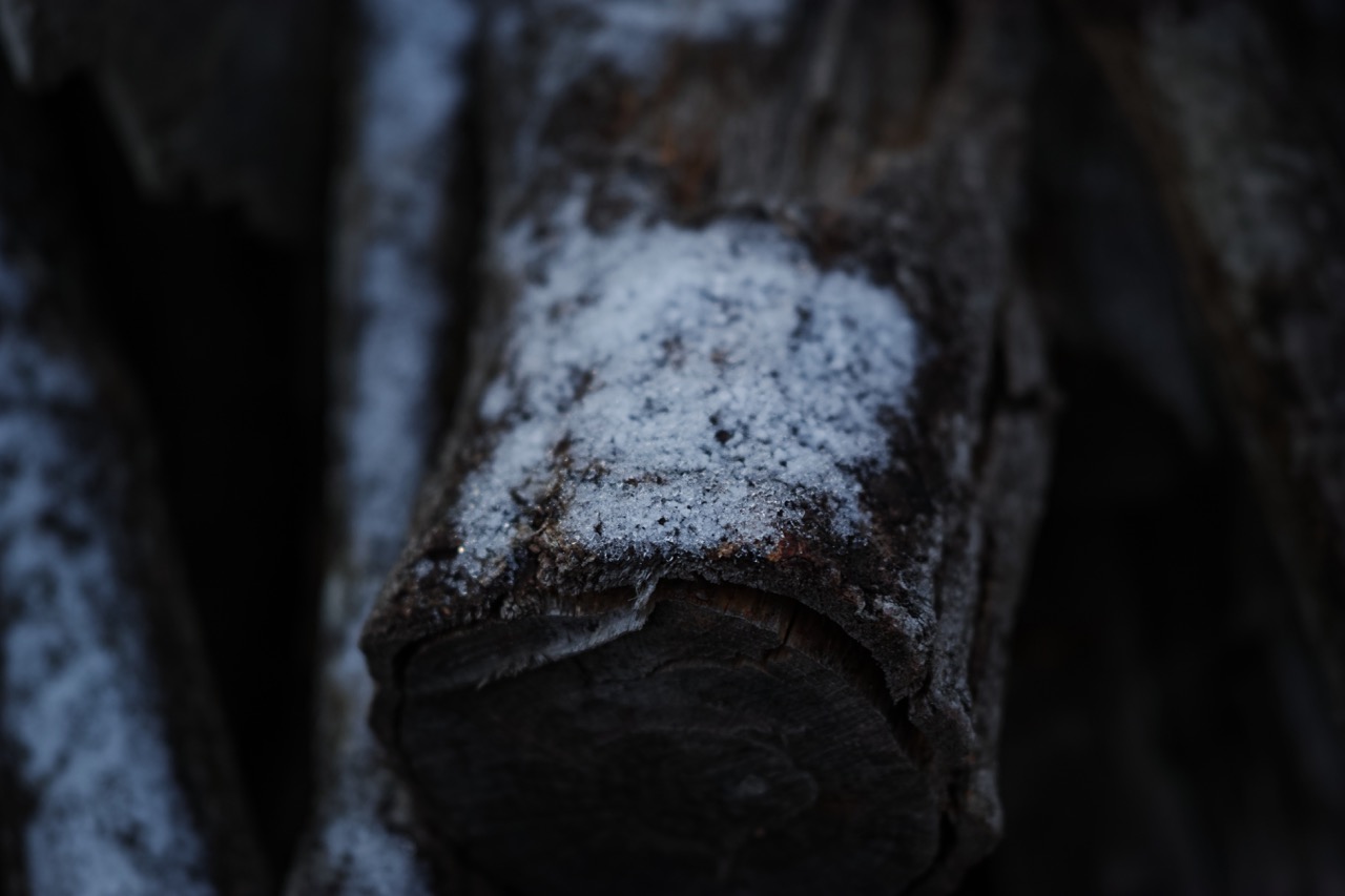 SDIM3653