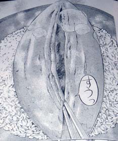 [V]fVXp[eBvLA 1bu͂͏ΊIϐgILAvVXv3 ->摜>48 