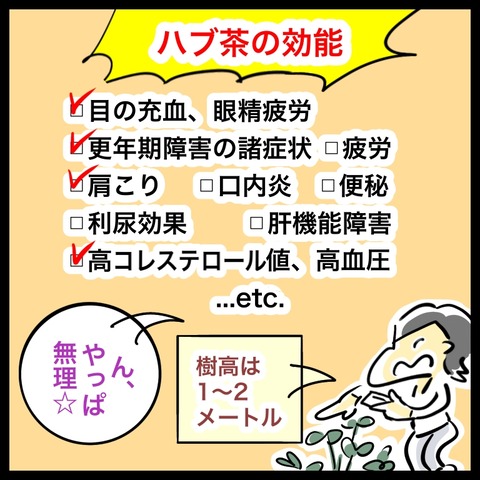 F814A028-8D10-4EB8-A762-37B94BC8B4C5