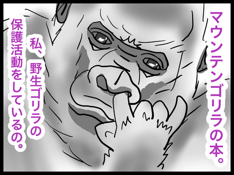 マウンテンゴリラの保護活動