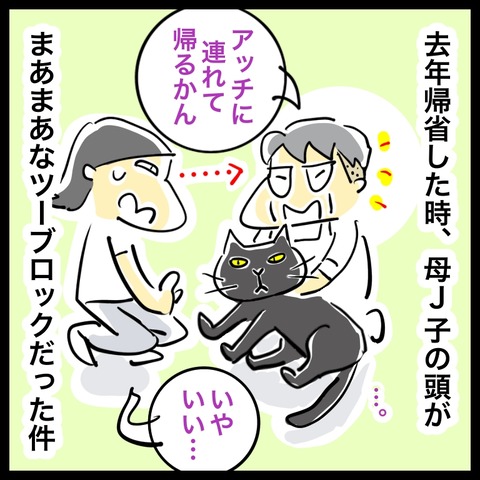 D2EAC63F-377D-410F-8B39-06A77DD0EC54