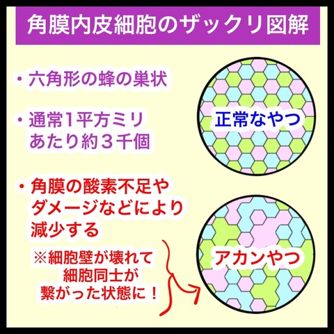 C87FD6A9-1357-4E88-898A-A9917409394B