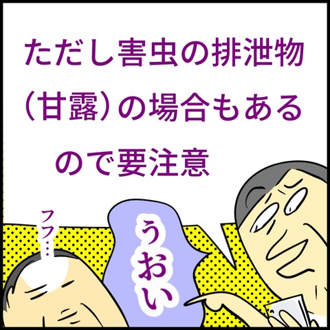 2026.06.02火1582_20260602130251