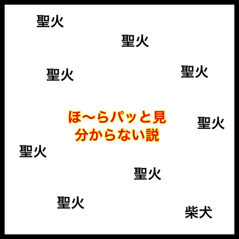 565929A1-71DE-4AC8-A674-14507003AB62