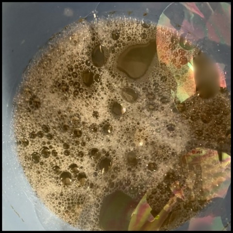 無題1961_20260123132819