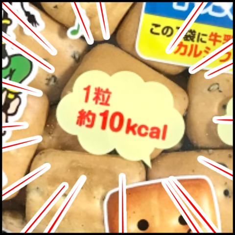 2024.03.19火1126_20240318123415