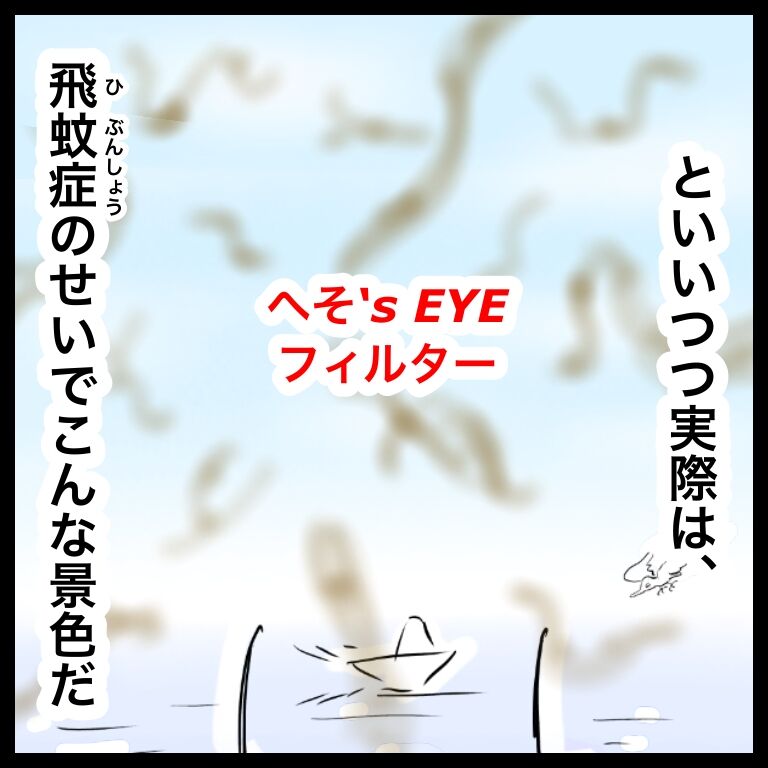 緑内障 視界に虫 飛蚊症に煩わされる毎日 おそがいチャンネル あらあら主婦の絵日記帳