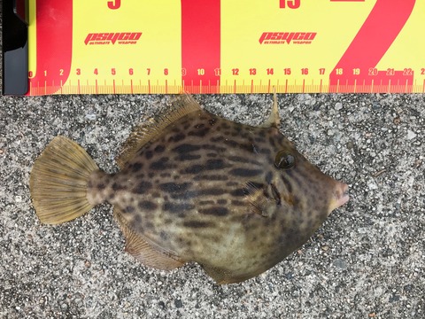 B7C1CEC5-ED94-46EE-AE7F-FE1F7DA93FA0