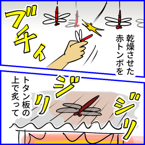 2024.10.11金1248_20241011103802