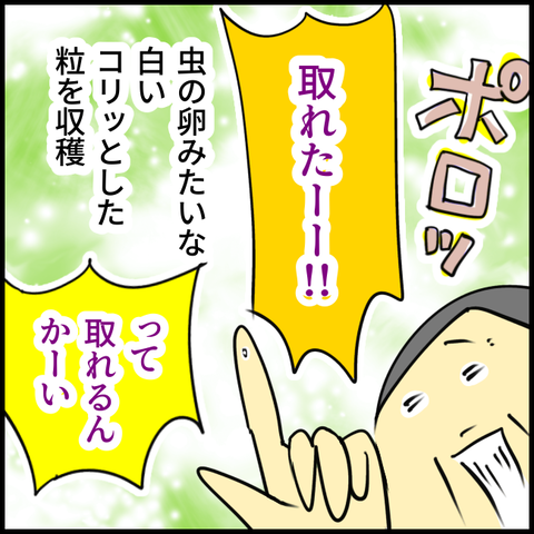 2025.06.12木1383_20250612114607