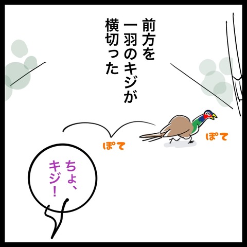 BD0F8DB3-E779-4704-AF45-43500714D34C