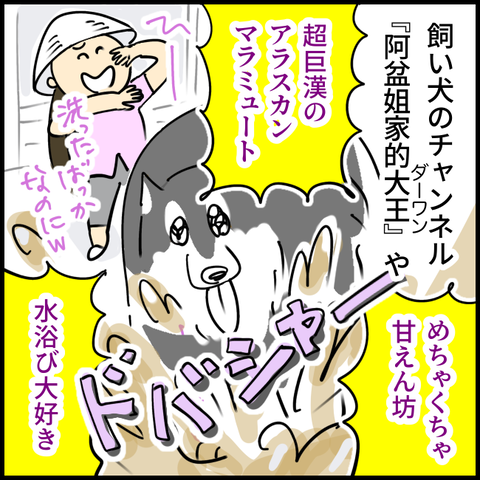 2024.11.02月1276_20241202184403