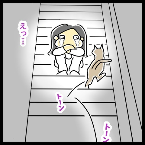 B36F1DC9-333E-4289-BB2F-BD760E1A87FF