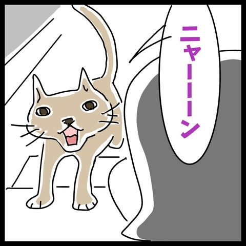 A76BEB32-26A9-4869-9C1F-217E4F4FDB93