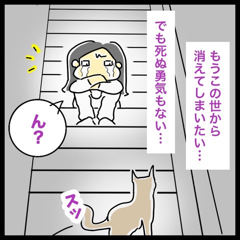 A9593CF0-09F4-4DCD-9137-E761AF89759A
