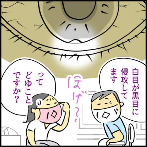2025.06.23月1390_20250620131441