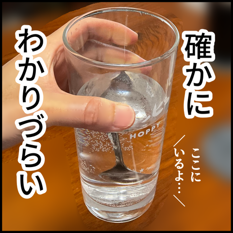 2024.03.26火1131_20240326111652