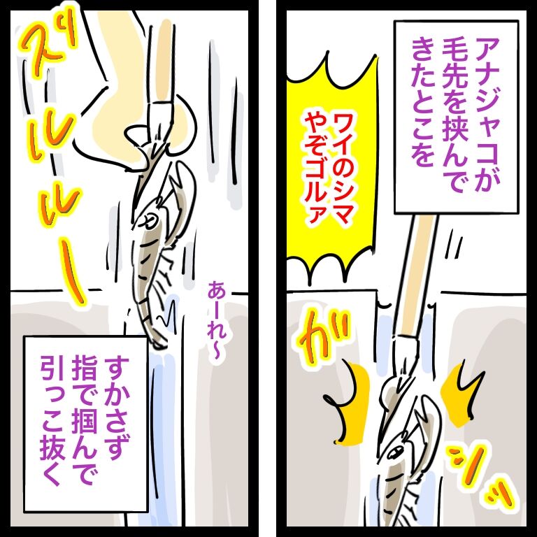 ガッチリ 干潟にアナジャコ釣りに行ったお話 ホールド おそがいチャンネル あらあら主婦の絵日記帳