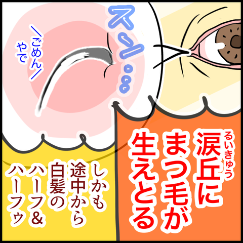 C6B68638-A63E-4277-AAD8-9AB4AE3CBFDC